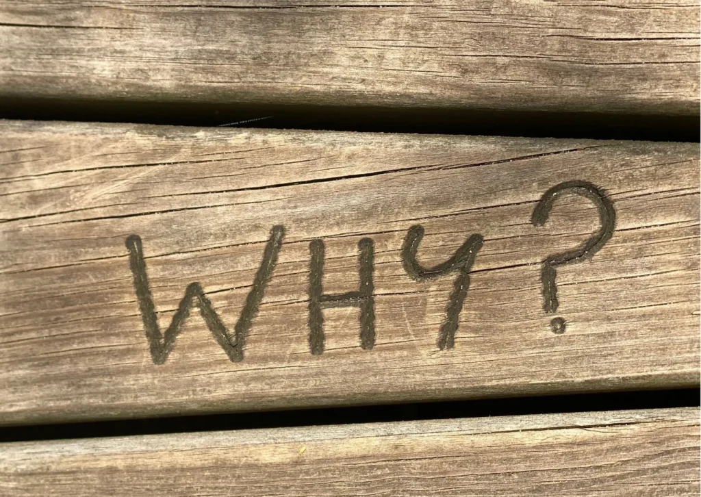 why, trip, why in a tree